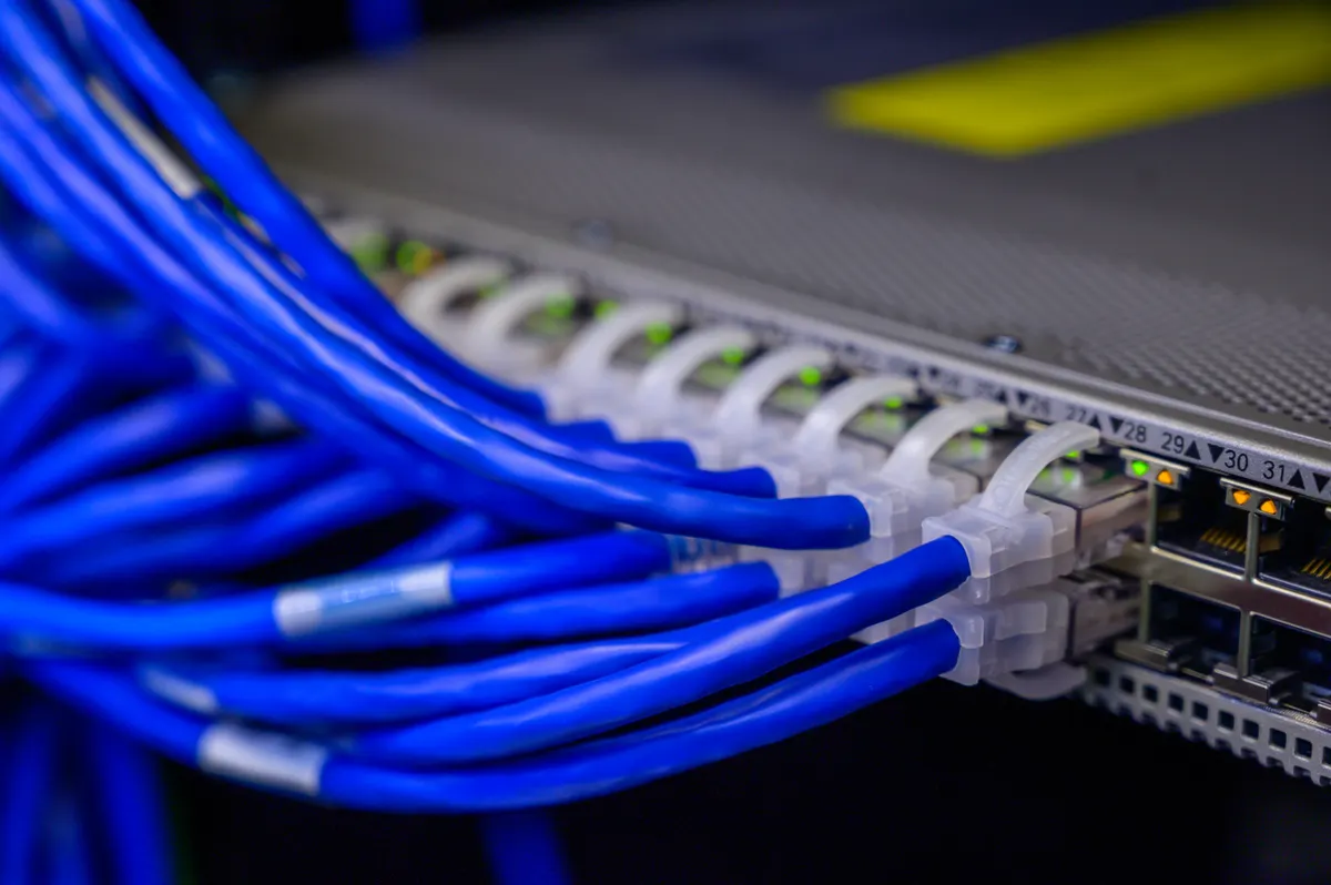 Blue Ethernet cables connected to numbered ports on a network switch